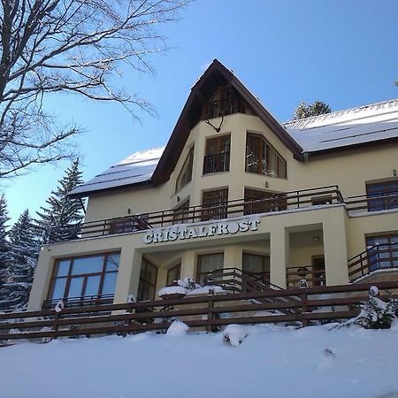 Vila Cristalfrost ポイアナ・ブラショフ エクステリア 写真